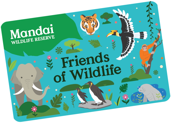 fow-card-bp-inclusive-new