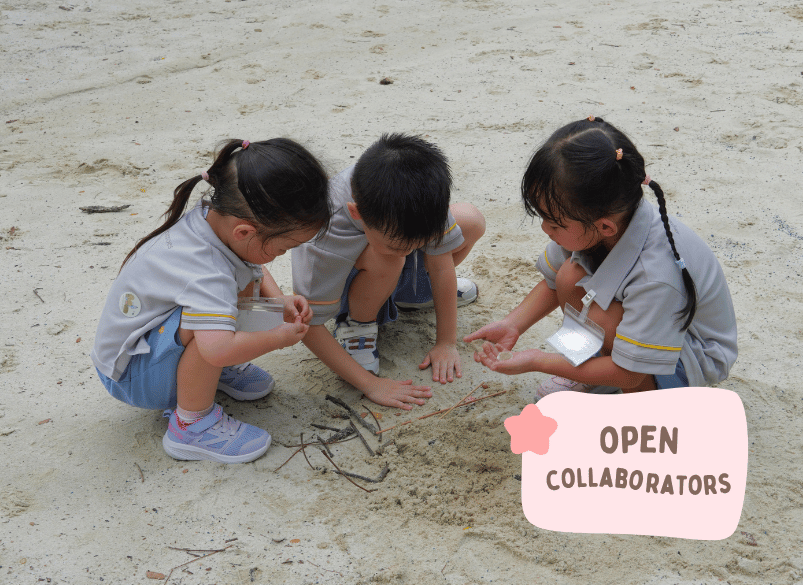 OPEN COLLABORATORS 2